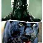 Black Hunter & Panther - @jamaicablackhun - Pinterest
