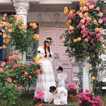 빈티지캐슬 & Rose Garden - @vintagecastle_rosegarden - Instagram