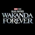 Black Panther - @blackpanther - Verified Account - Instagram