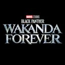 Black Panther: Wakanda Forever - @theblackpanther - Verified Account - Twitter