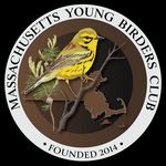 MA Young Birders Club - @mayoungbirders - Instagram