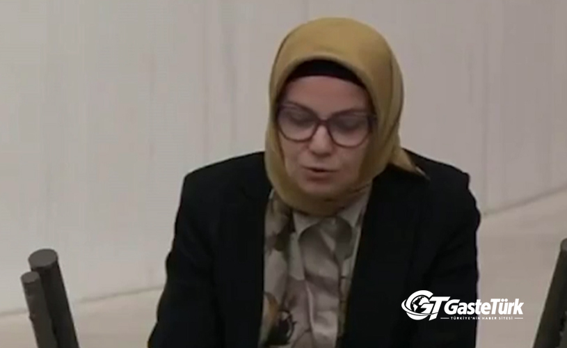 Ayşe Böhürler: “Basın özgürlüğü, hukukun üzerinde olmak değildir”