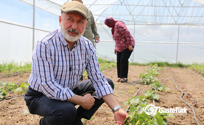 Kayseri’de kadınlar üretti, 15 ton ürün hasat edildi!
