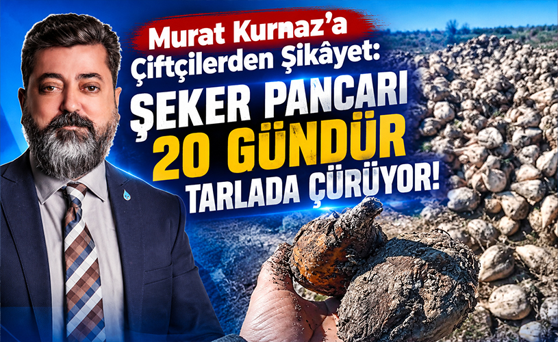 Murat Kurnaz’a Çiftçilerden Şikâyet: Şeker Pancarı 20 Gündür Tarlada Çürüyor