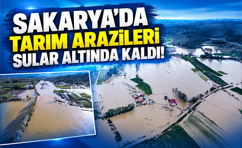 Sakarya’da Sağanak Felaketi: Tarım Arazileri Sular Altında Kaldı!